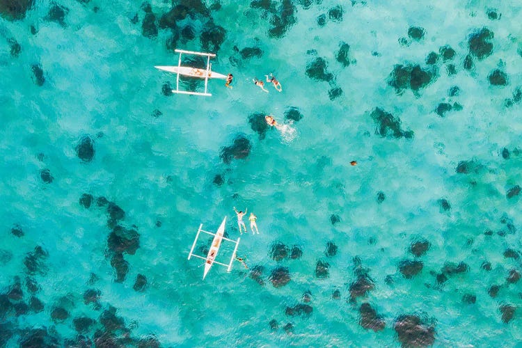 People Swimming With Turtle In The Turquoise Sea, Philippines