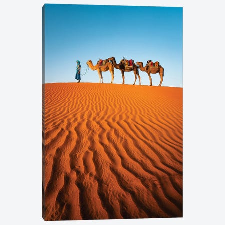 Camels In The Desert, Morocco Canvas Print #TEO1963} by Matteo Colombo Canvas Wall Art