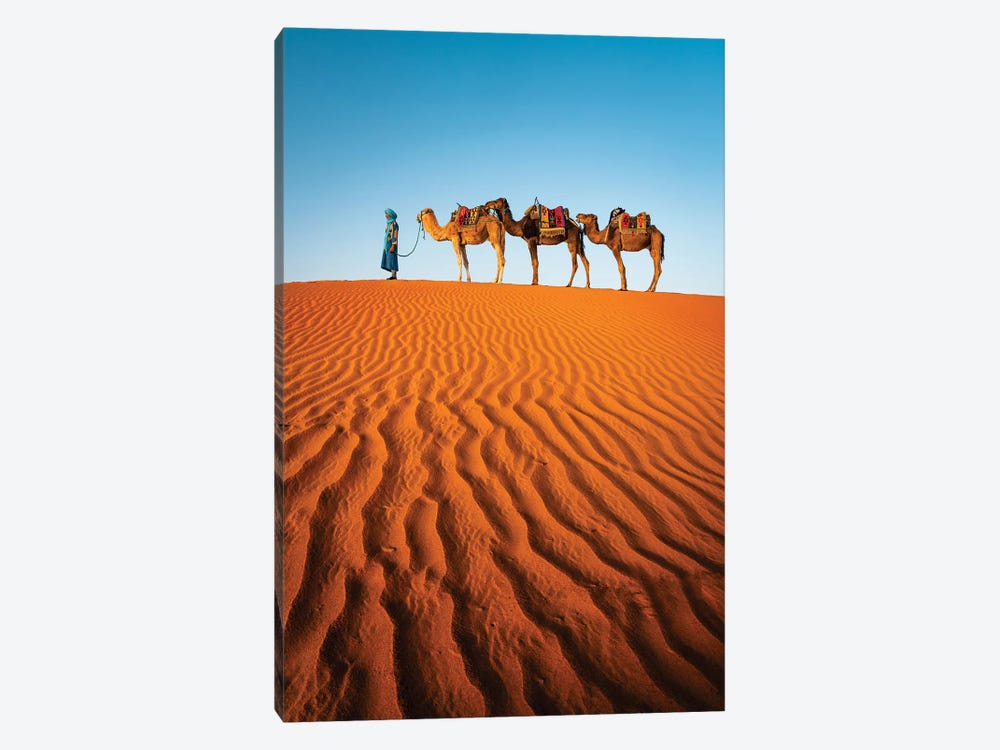 Camels In The Desert, Morocco by Matteo Colombo 1-piece Canvas Art