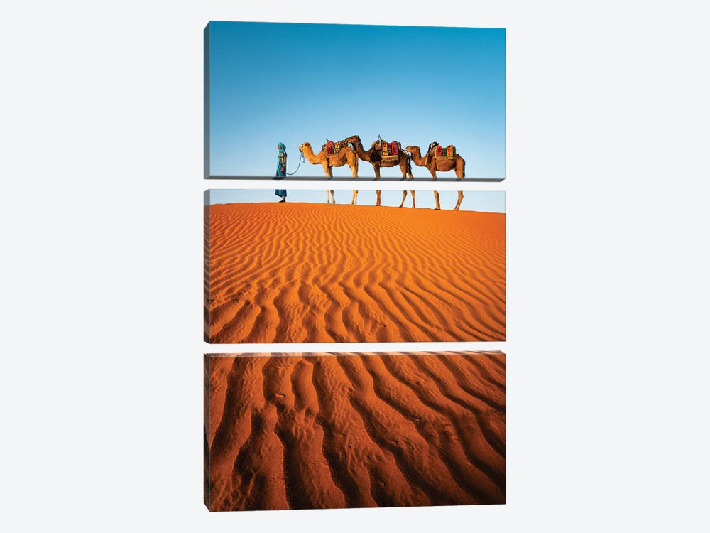 Camels In The Desert, Morocco by Matteo Colombo 3-piece Canvas Artwork