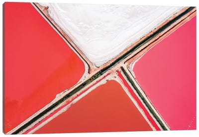 Pink Lagoon I, Nature Abstract Canvas Art Print - Matteo Colombo
