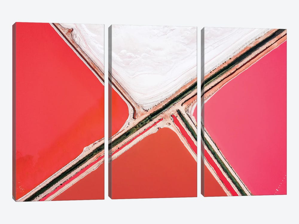 Pink Lagoon I, Nature Abstract by Matteo Colombo 3-piece Canvas Wall Art