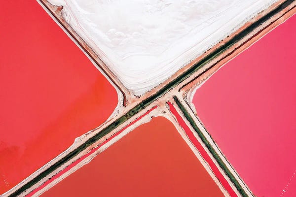Abstracts In Nature: Pink Lagoon I, Nature Abstract by Matteo Colombo