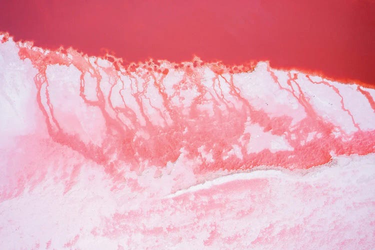 Pink Lagoon IV, Nature Abstract