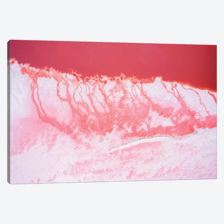 Pink Lagoon IV, Nature Abstract Canvas Print #TEO1975} by Matteo Colombo Canvas Wall Art