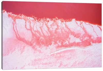 Pink Lagoon IV, Nature Abstract Canvas Art Print - Purple Abstract Art