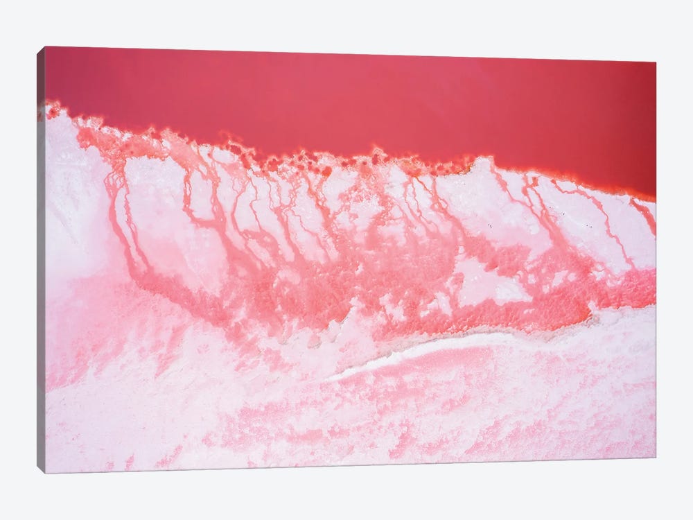 Pink Lagoon IV, Nature Abstract by Matteo Colombo 1-piece Canvas Print