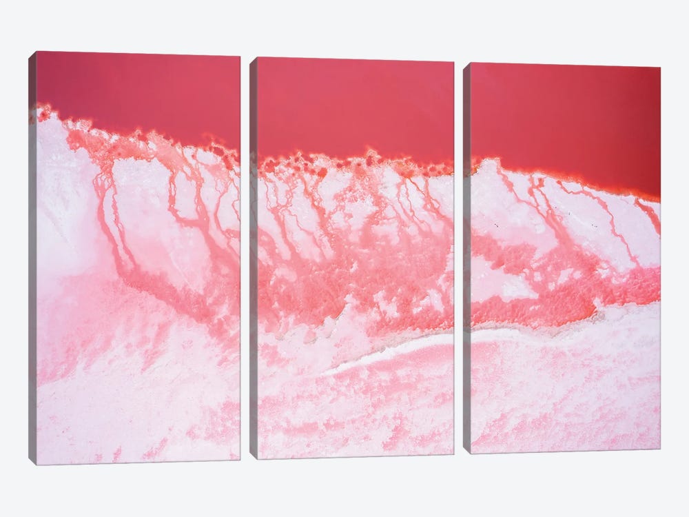 Pink Lagoon IV, Nature Abstract by Matteo Colombo 3-piece Art Print