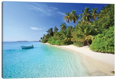Dream Island, Maldives Canvas Art Print - Palm Tree Art