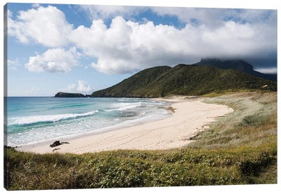 Remote Beach, Lord Howe Island Canvas Art Print - Matteo Colombo