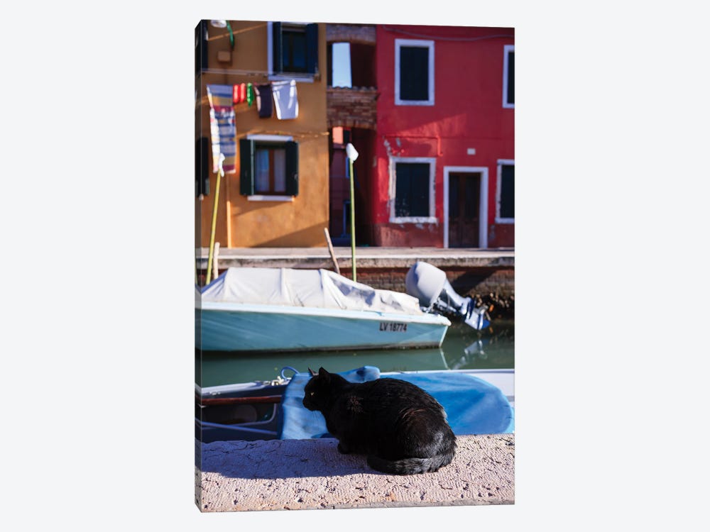 Black Cat Near The Canal, Burano Island, Venice, Italy by Matteo Colombo 1-piece Canvas Art