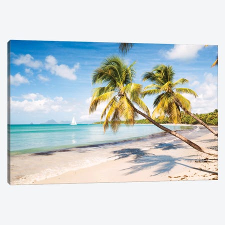 Famous Les Salines Beach In Martinique, Caribbean Canvas Print #TEO202} by Matteo Colombo Canvas Wall Art