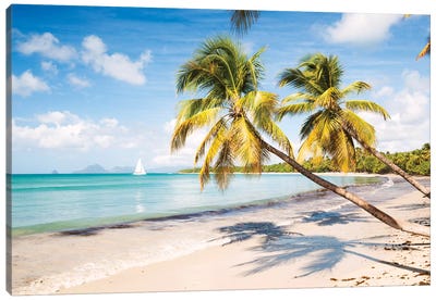 Famous Les Salines Beach In Martinique, Caribbean Canvas Art Print - Seascape Art