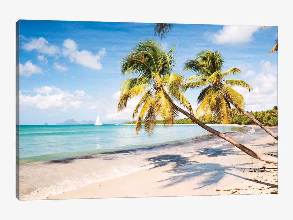 Famous Les Salines Beach In Martinique, Caribbean by Matteo Colombo 1-piece Canvas Art Print