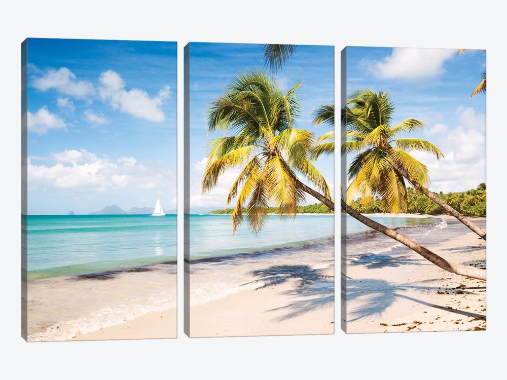 Famous Les Salines Beach In Martinique, Caribbean by Matteo Colombo 3-piece Canvas Print