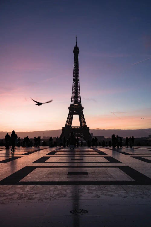 Eiffel Tower At Dawn, Trocadero, Paris, France II