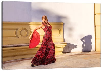 Flamenco Dancer In Andalusia, Spain Canvas Art Print - Global Identities