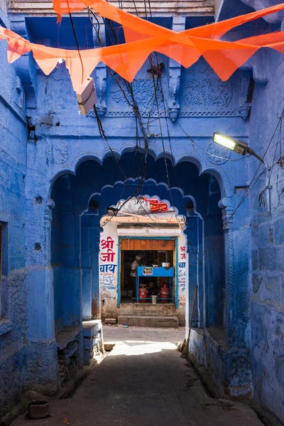 Rajasthan: Street In The Blue City, Jodhpur, Rajasthan, India by Matteo Colombo