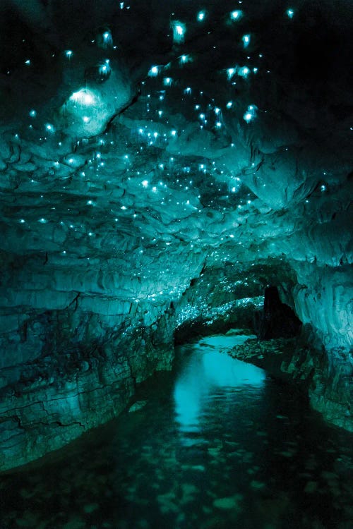 Glowworm Cave, New Zealand II