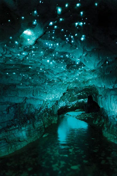 Glowworm Cave, New Zealand II