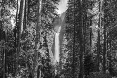 Yosemite Forest And Waterfall by Matteo Colombo canvas print
