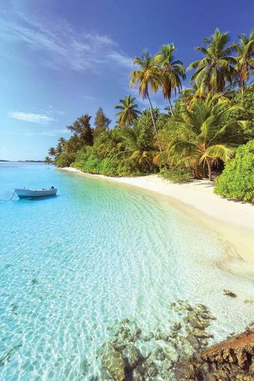 Idyllic Beach, Maldives by Matteo Colombo wall art