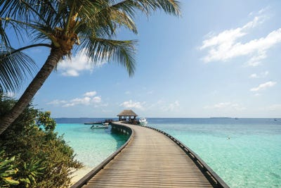 Canvas Print: Jetty On A Tropical Island In The Maldives I by Matteo Colombo - thumbnail