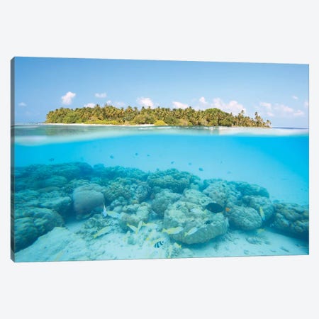 Island And Reef, Maldives Canvas Print #TEO217} by Matteo Colombo Canvas Wall Art