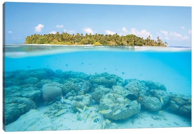 Island And Reef, Maldives Canvas Art Print - Water Art