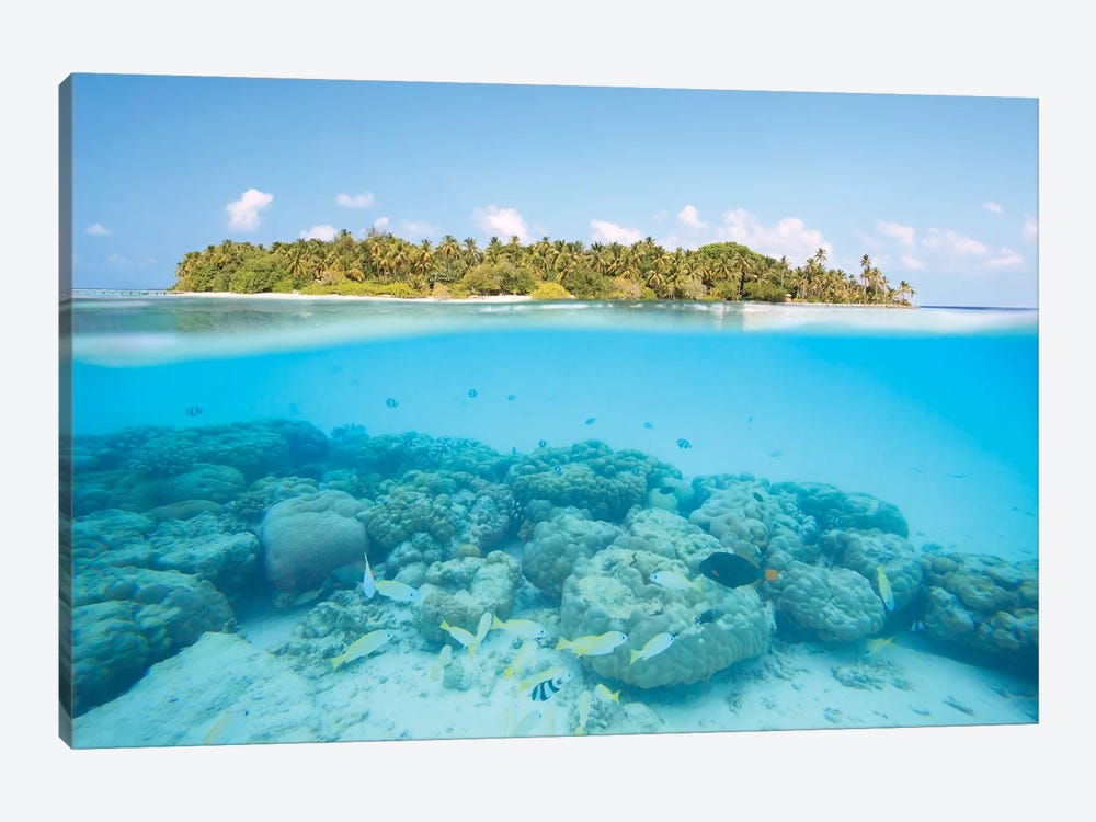 Island And Reef, Maldives by Matteo Colombo 1-piece Canvas Print