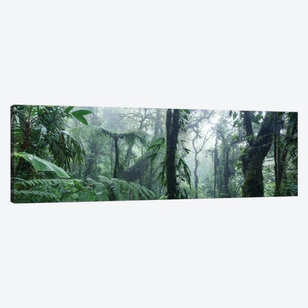 Monteverde Cloud Forest Panorama, Costa Rica Canvas Print #TEO224} by Matteo Colombo Canvas Art Print