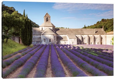 Senanque Abbey, Provence, France Canvas Art Print - Dome Art