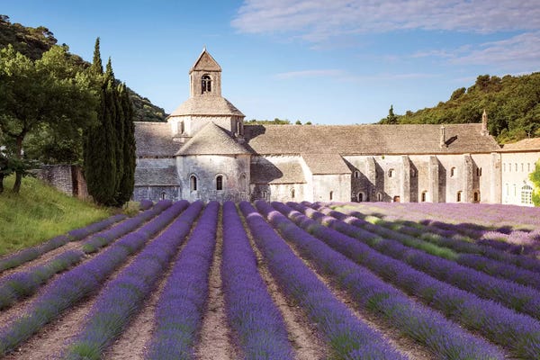 Provence-Alpes-Côte d'Azur: Senanque Abbey, Provence, France by Matteo Colombo