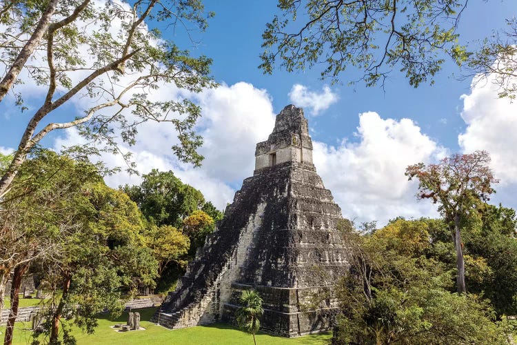 Temple I Of The Jaguar, Tikal, Guatemala