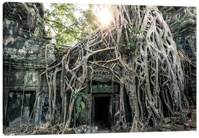 Temple In The Jungle, Angkor Wat, Cambodia Canvas Art Print - Dereliction Art