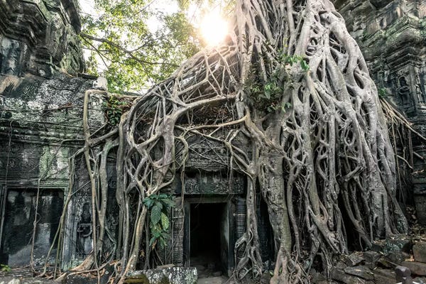 Dereliction: Temple In The Jungle, Angkor Wat, Cambodia by Matteo Colombo