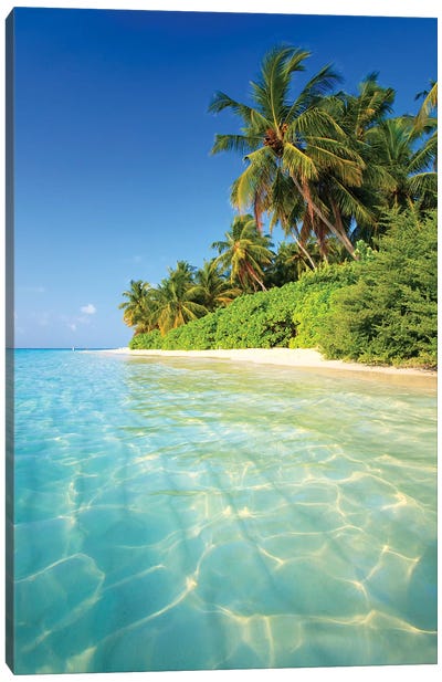 Tropical Beach In The Maldives Canvas Art Print - Palm Tree Art