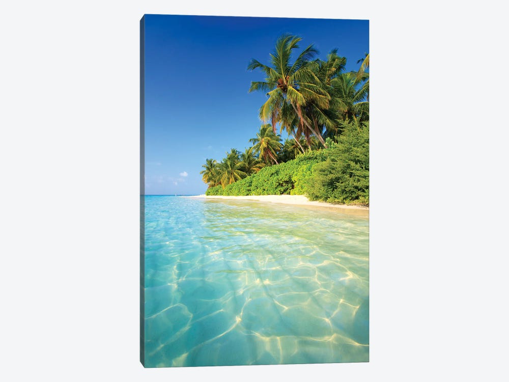 Tropical Beach In The Maldives by Matteo Colombo 1-piece Canvas Wall Art