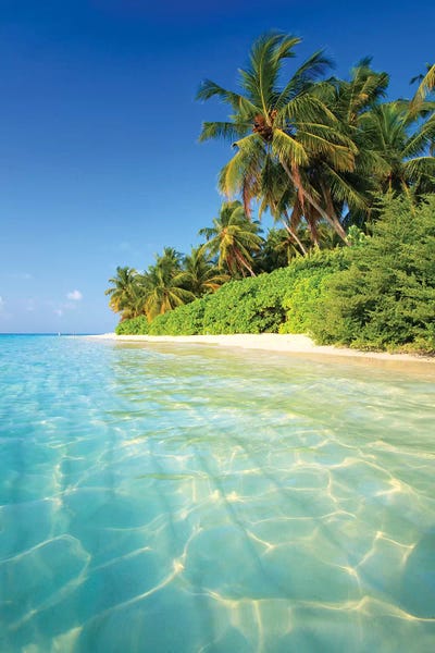 Large Photography - Canvas Prints: Tropical Beach In The Maldives by Matteo Colombo