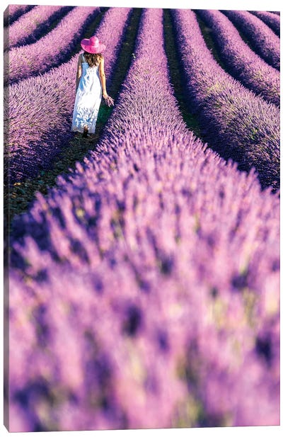 Woman In A Lavender Field, Provence Canvas Art Print - Pantone Ultra Violet 2018