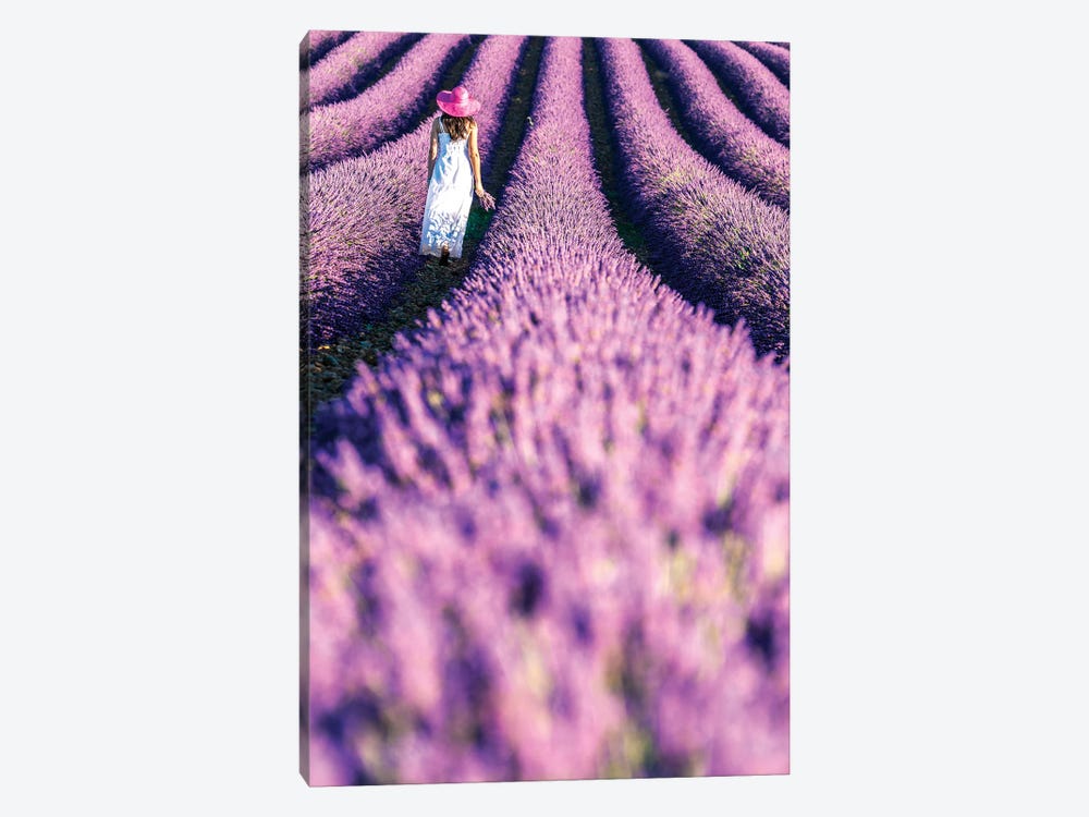 Woman In A Lavender Field, Provence by Matteo Colombo 1-piece Canvas Wall Art