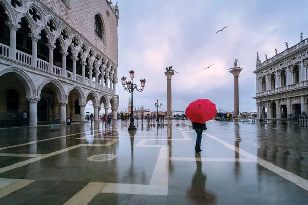 Matteo Colombo: Woman In Flooded St Mark's Square, Venice by Matteo Colombo