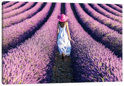 Woman Walking In The Lavender, Provence Canvas Art Print - Lavender Art