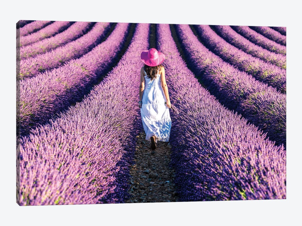 Woman Walking In The Lavender, Provence by Matteo Colombo 1-piece Canvas Art