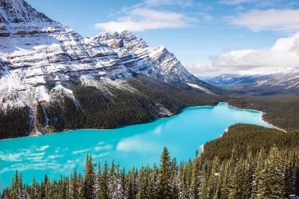 Banff National Park: Peyto Lake by Matteo Colombo
