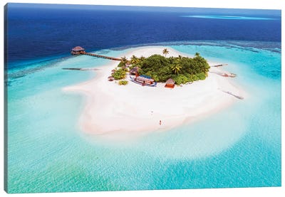Tropical Island In The Maldives Canvas Art Print - Maldives