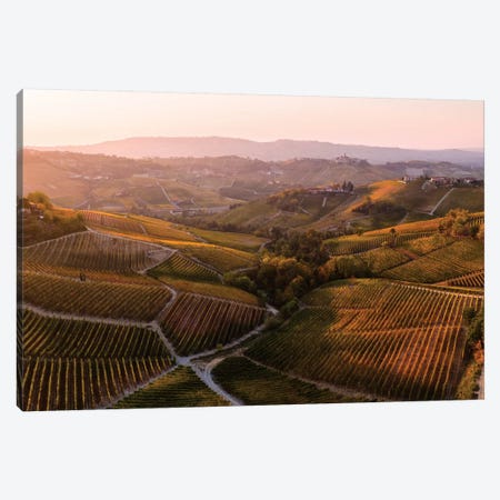 Vineyards In Autumn, Italy Canvas Print #TEO329} by Matteo Colombo Art Print