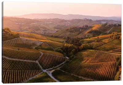 Vineyards In Autumn, Italy Canvas Art Print - Vineyard Art