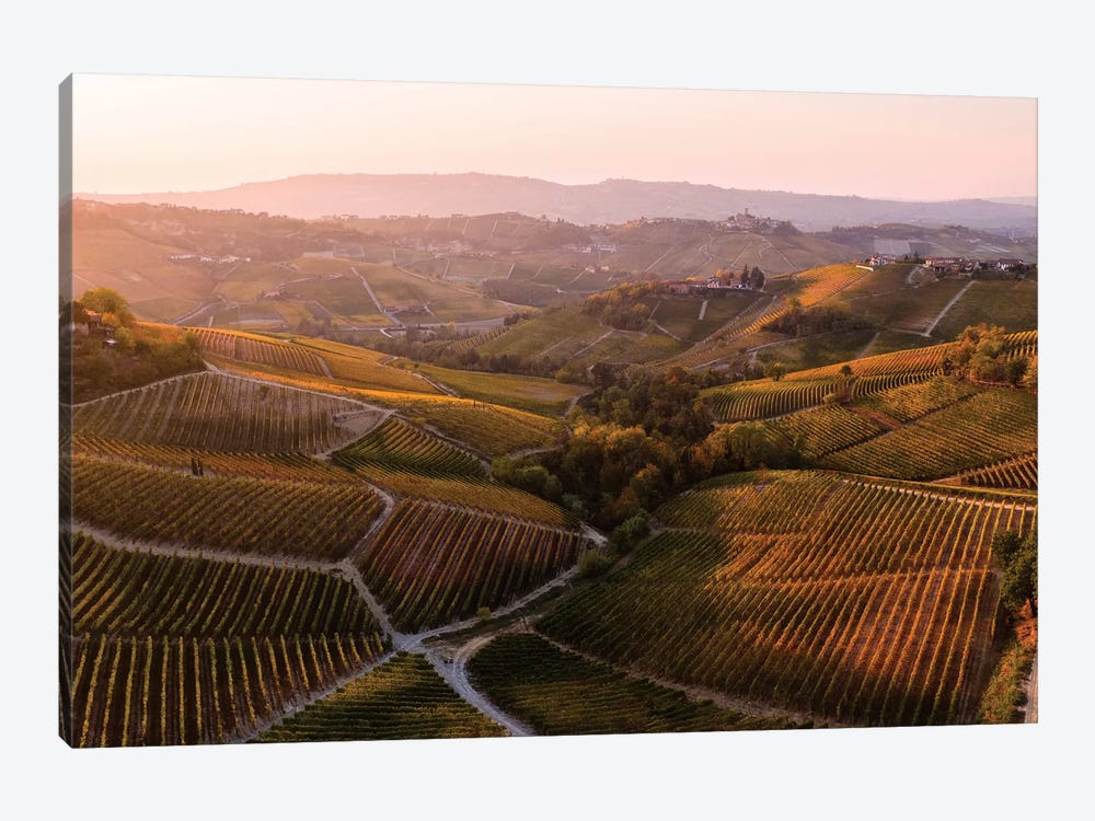 Vineyards In Autumn, Italy by Matteo Colombo 1-piece Canvas Art Print