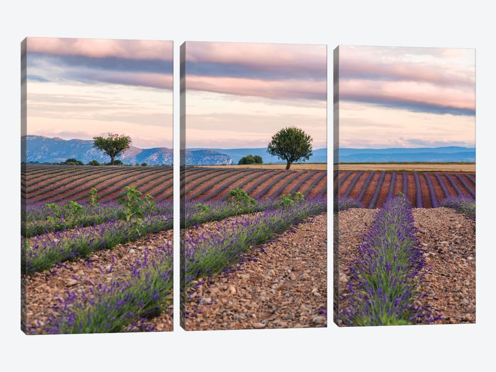 Countryside Landscape At Sunrise, Provence, France by Matteo Colombo 3-piece Canvas Art Print